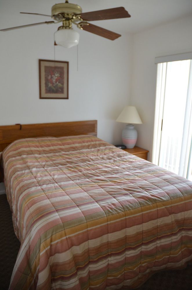 Beach Island Resort - photo 8
