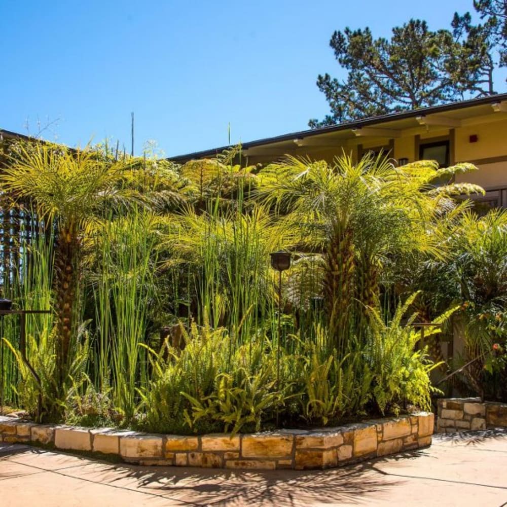 Tradewinds Carmel - photo 49