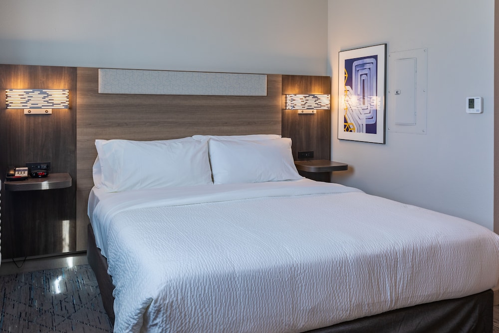 Holiday Inn Express & Sts Englewood Denver South - photo 7