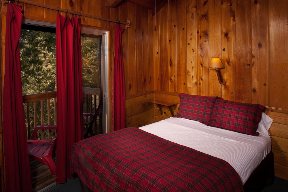 Idyllwild Bunkhouse - photo 16