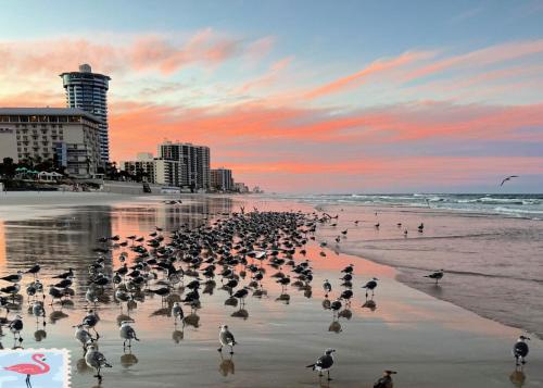 SHERWIN Coastal Vibes Oceanfront Condominium 301 — 4-Star Luxury Hotel in Daytona Beach, United States