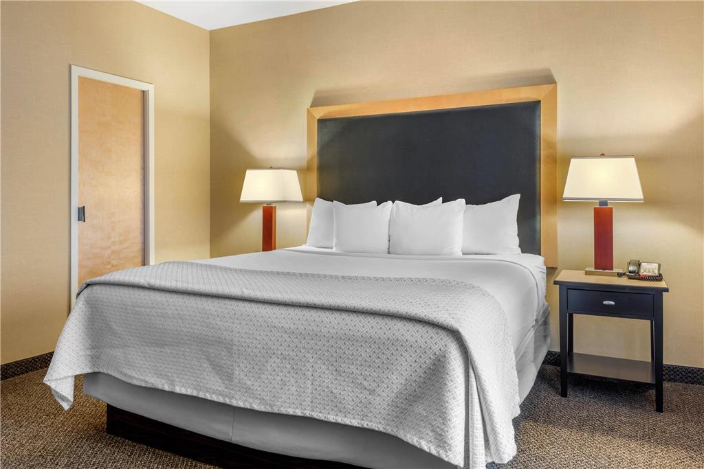 Cambria Hotel Akron Canton Airport - photo 23
