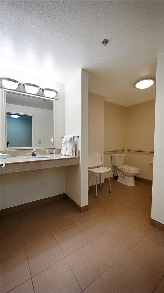 Best Western Plus Atlanta Airport East - photo 23