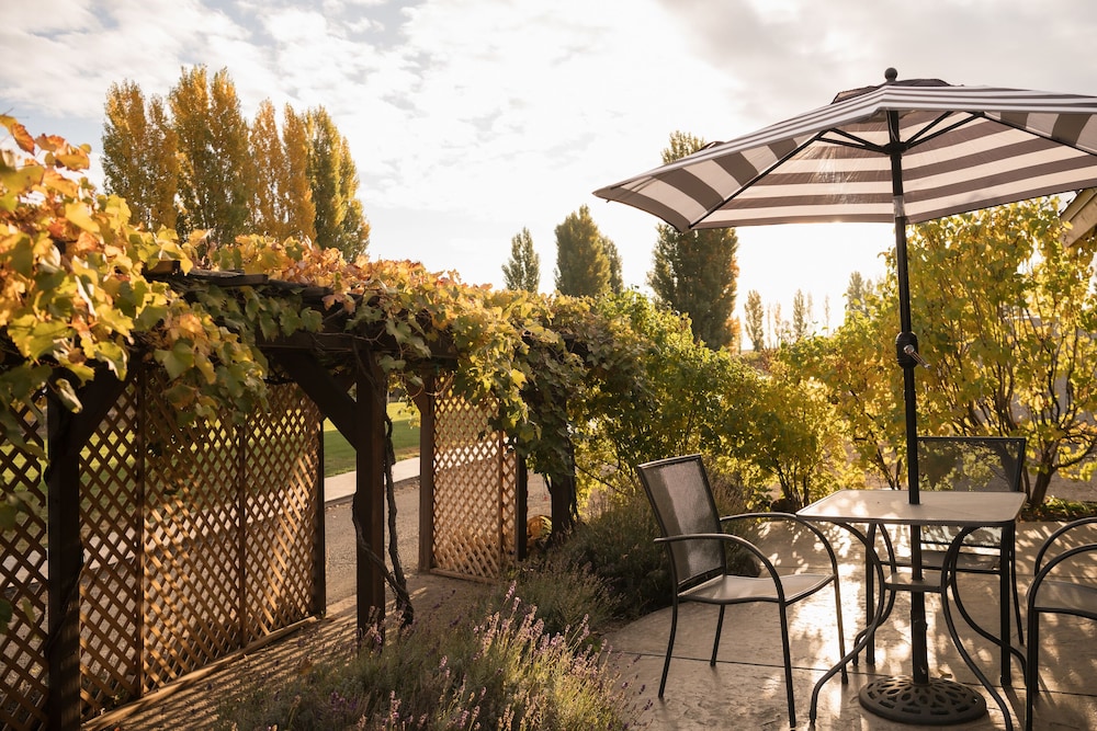 Sagecliffe Resort & Spa - photo 27