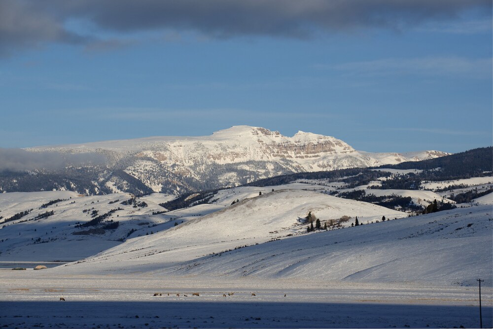 Elk Refuge Inn - photo 117