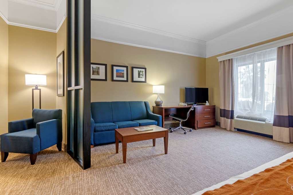 Comfort Suites Savannah North I 95 - photo 6