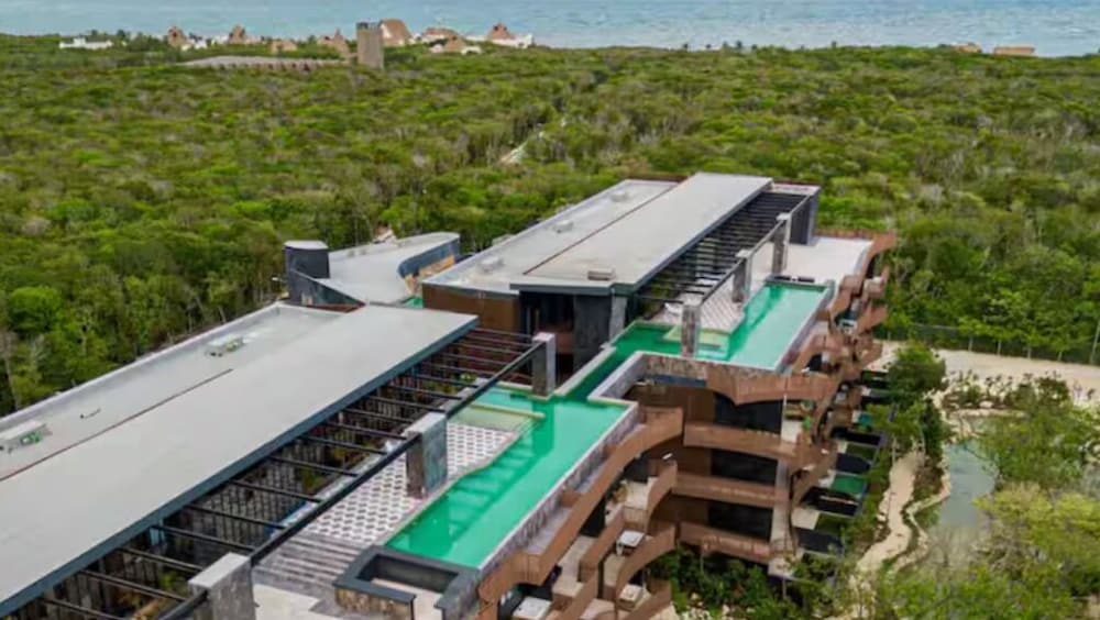 Monkey Lifestyle in Tulum, Mexico