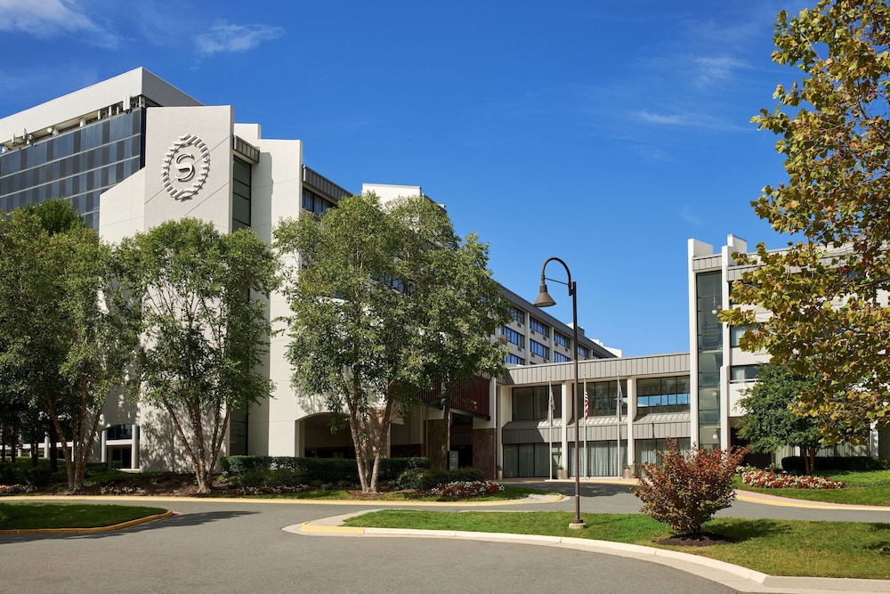 Hotel image of Sheraton Reston Hotel