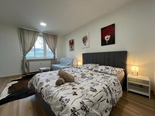 Kaštanová 27 in Olomouc, Czech Republic