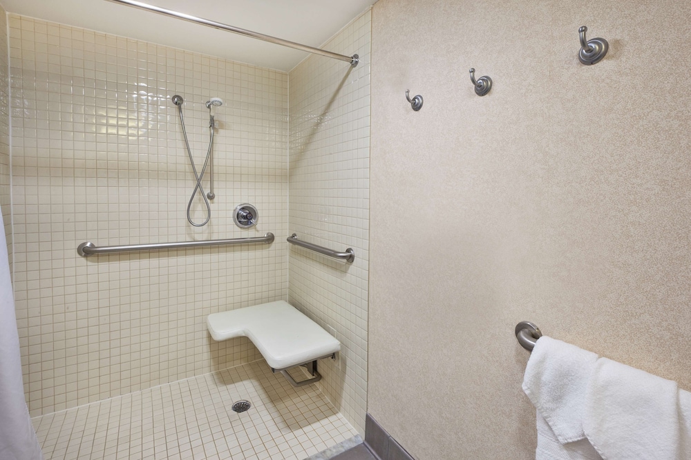 Hampton Inn Washington Dulles Int'l Airport South - photo 18