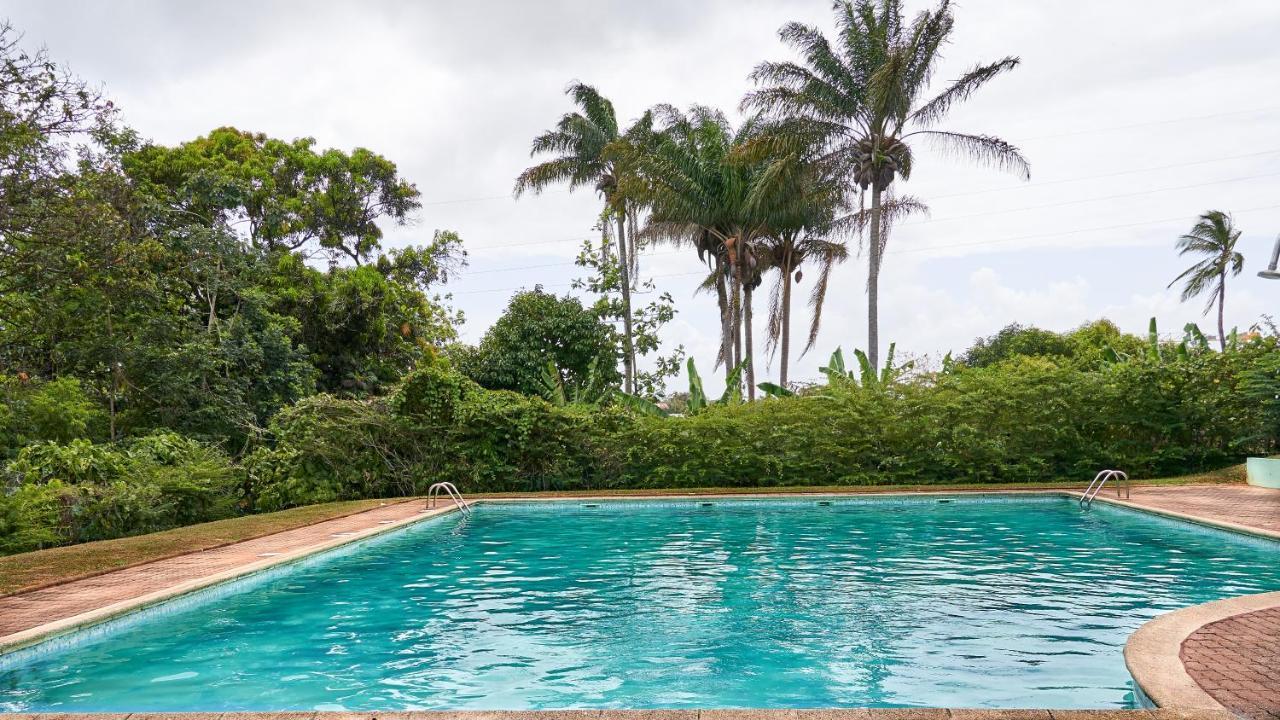 Appartements Cayenne Standing — 4-Star Luxury Hotel in Cayenne, French Guiana