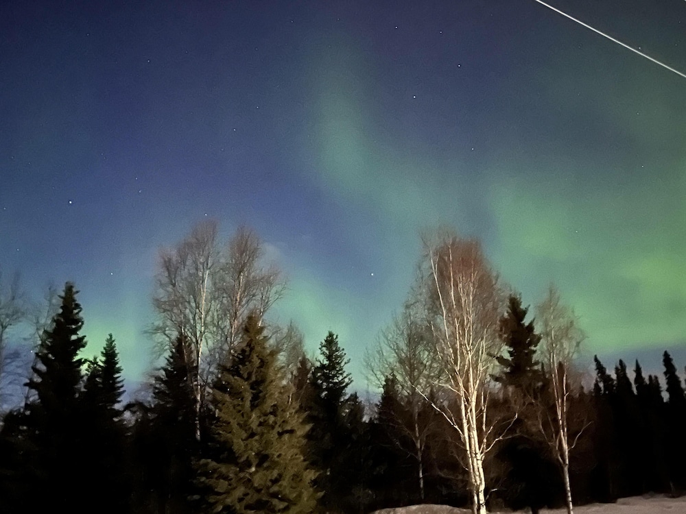 Alaska Frontier Inn - photo 25