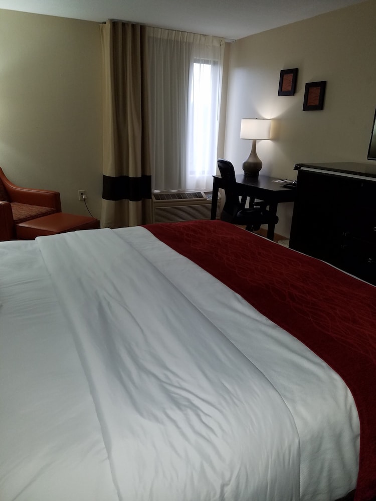 Comfort Inn North of Asheville - photo 16