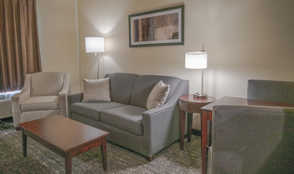 Cobblestone Hotel & Suites Lamar - photo 20