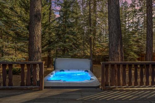 Nest and Needles in Big Bear Lake, United States