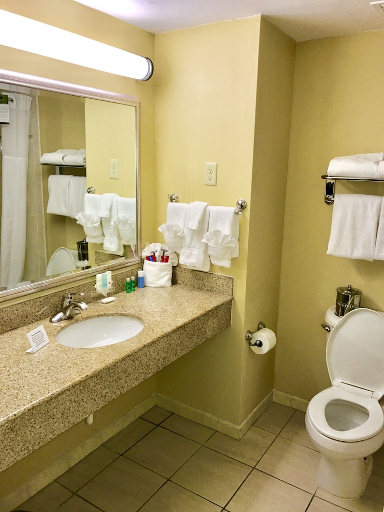 Hamden Hotel & Suites - photo 16