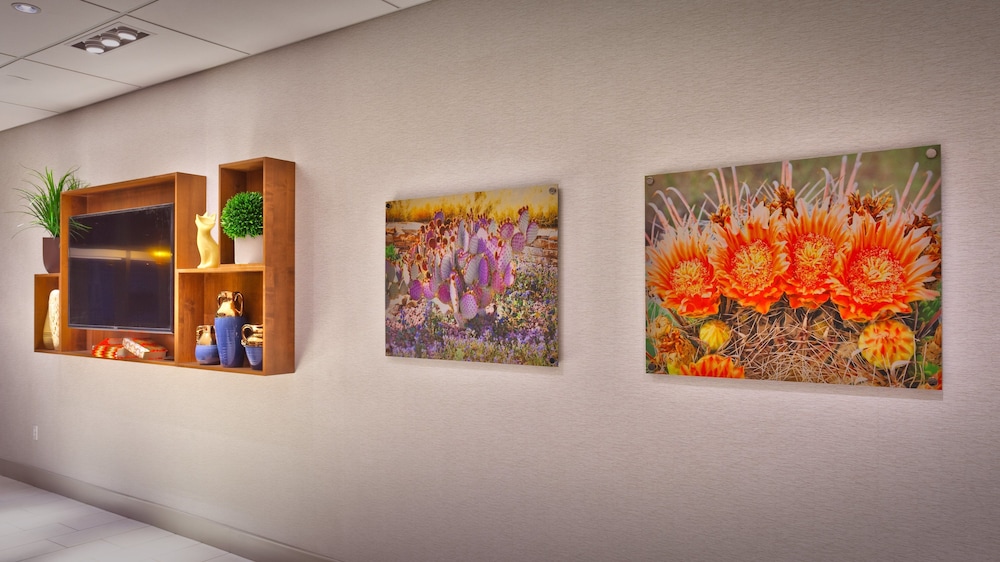 Holiday Inn Express & Suites Phoenix West Buckeye by IHG - photo 54