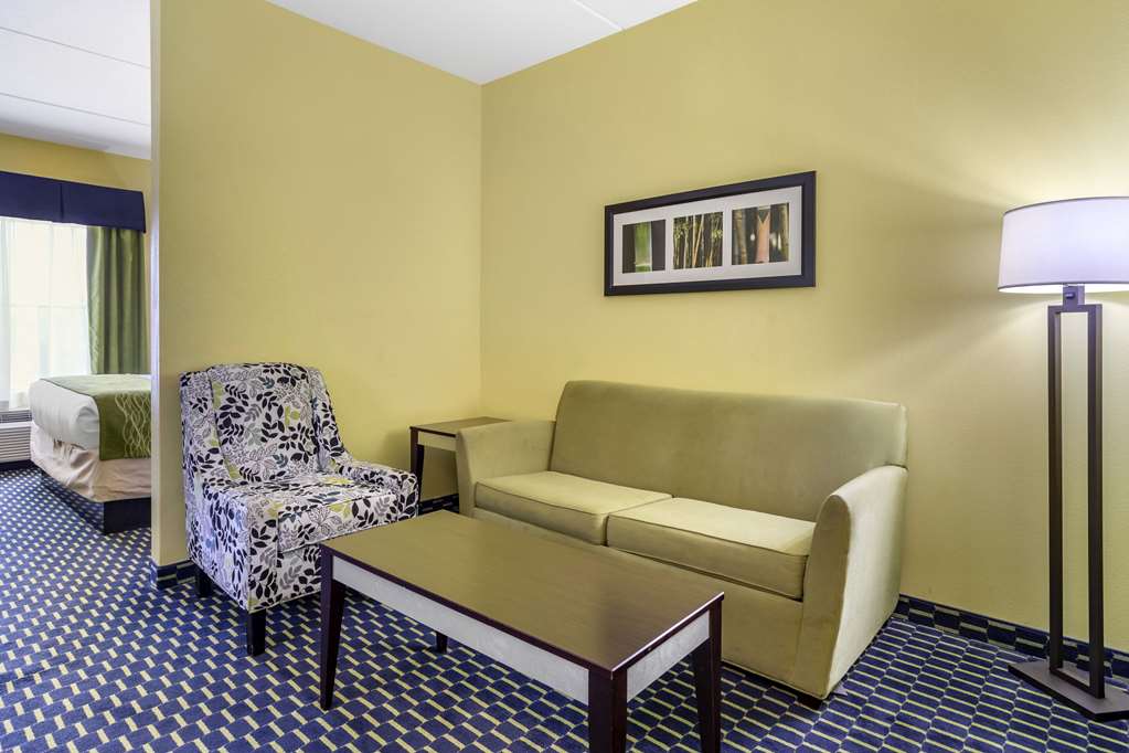 Comfort Inn Athens - photo 25