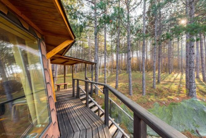 The Forest Sea Dome in Varna, Bulgaria