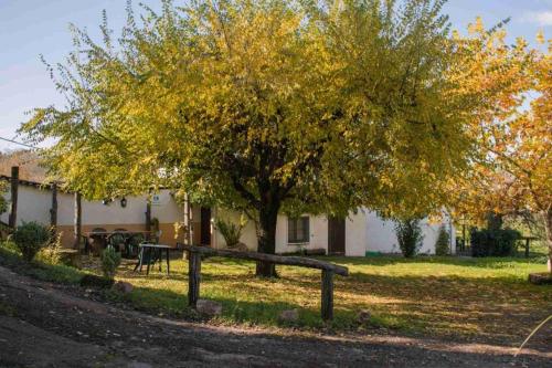 Granados — hotel in Fuenteheridos