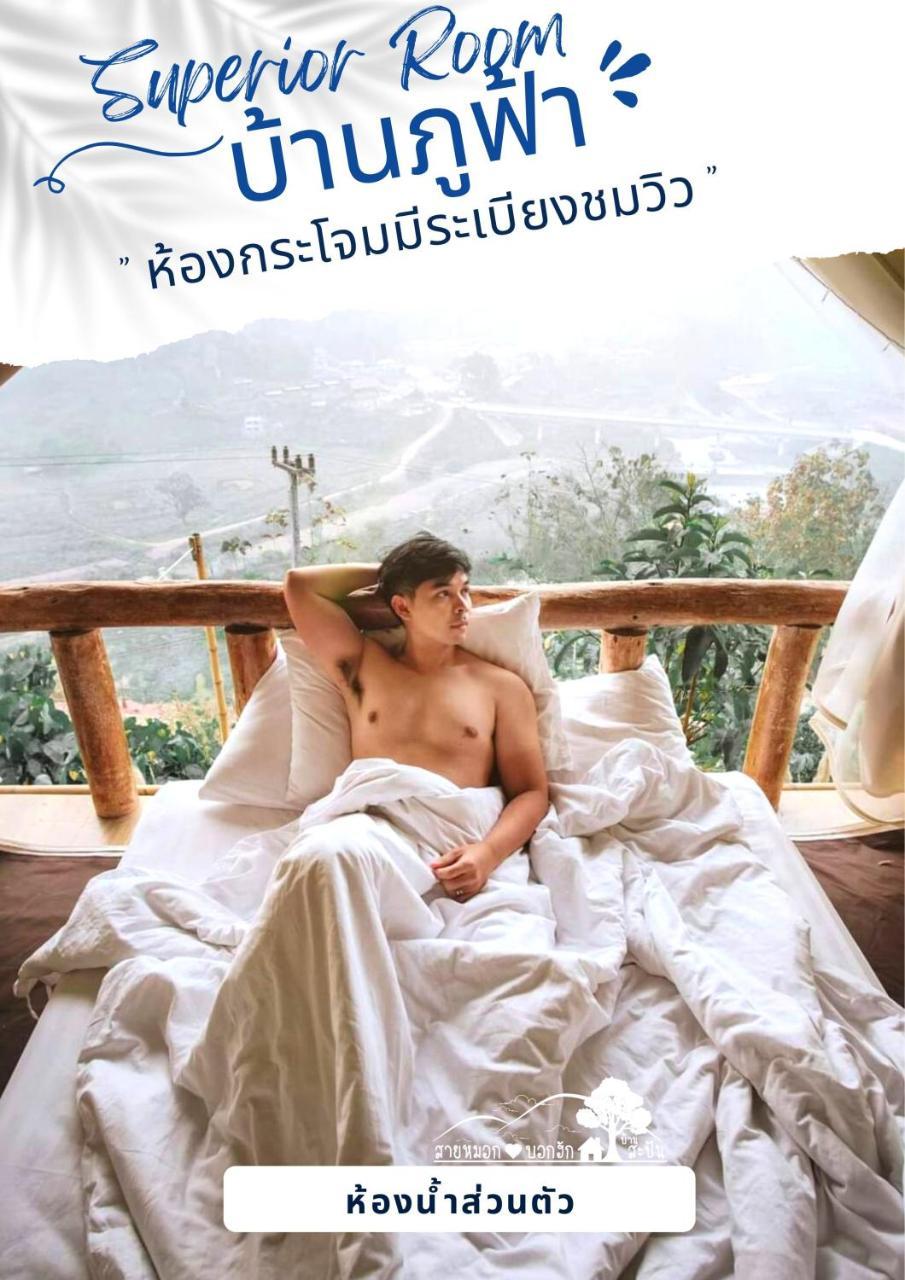 สายหมอกบอกรัก น่าน Saimok Bokrak Nan in Nan, Thailand