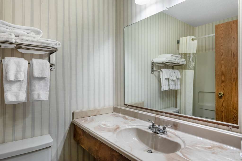 Baymont by Wyndham Spearfish - photo 17