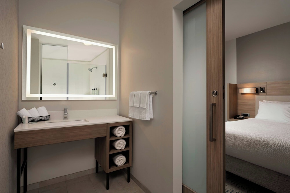 Springhill Suites Houston Brookhollow - photo 12