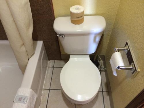 Lake Shore Motel - photo 17