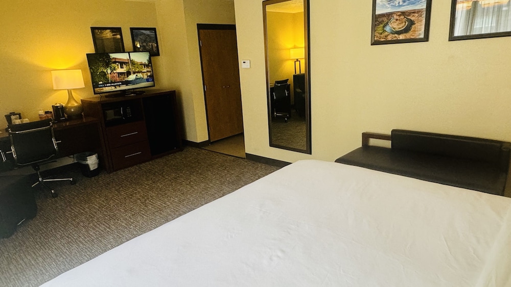 Comfort Inn Salt Lake City Downtown - photo 17