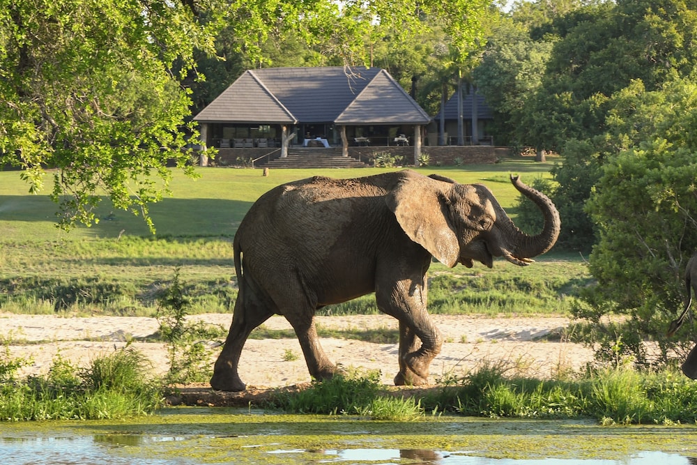 Inyati Game Lodge — 4-Star Luxury Hotel in Bushbuckridge, South Africa