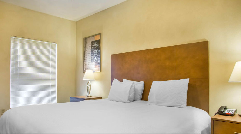 O Fallon Suites Hotel - photo 8