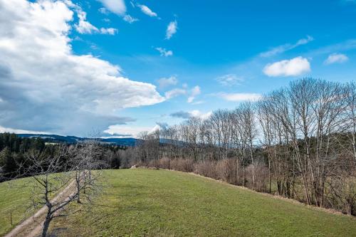 Brosihof — Erlenbach — photo 4