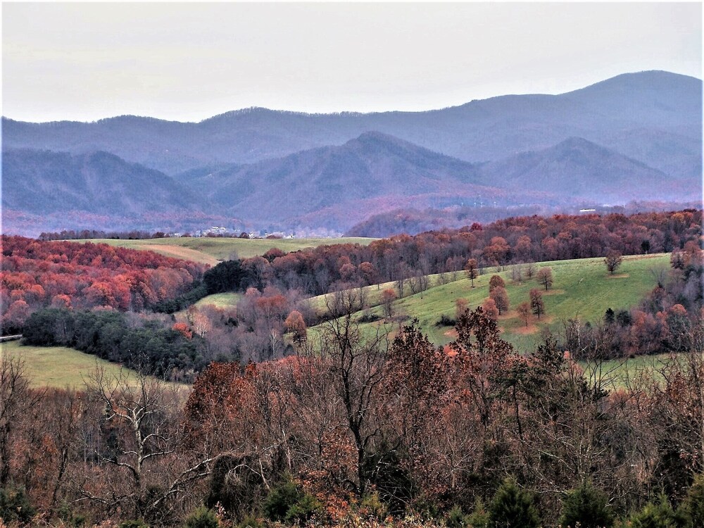 Heartstone Country Retreat - photo 89