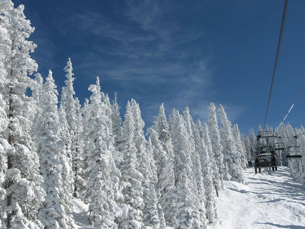 Three Rivers Resort - photo 24