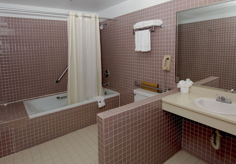 Metro Plaza Hotel - photo 26