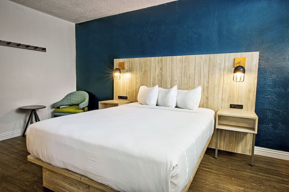 Downtowner Boutique Hotel - photo 10
