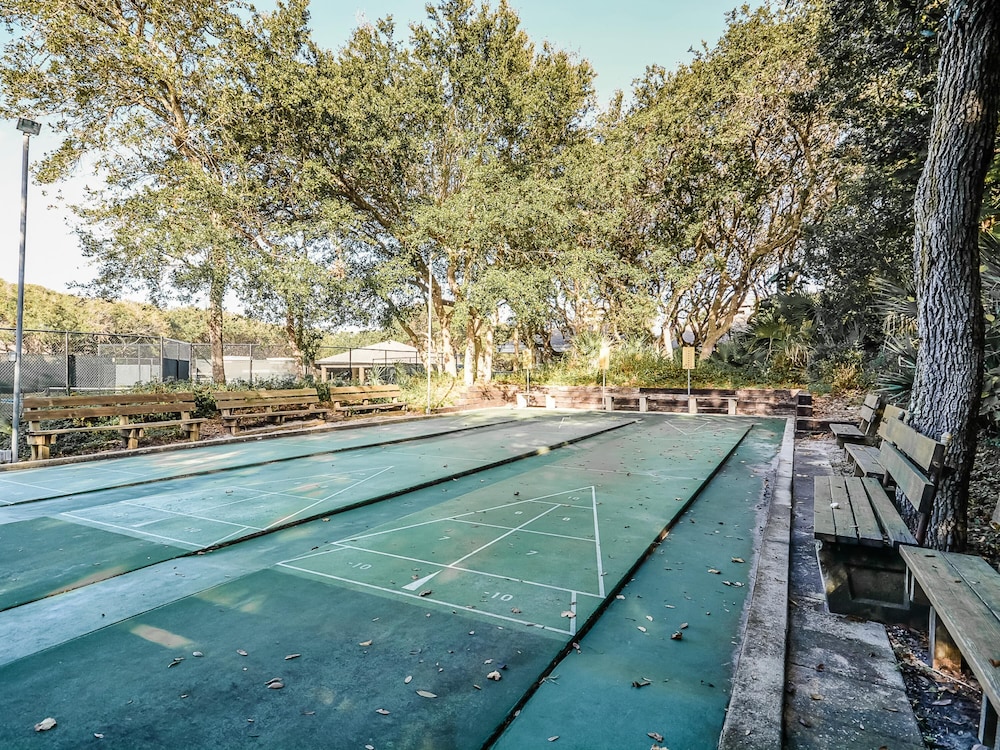 Sea Woods - photo 21