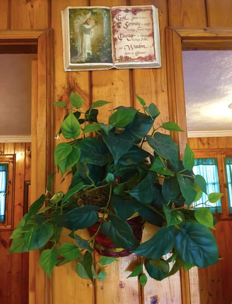 American Oak Resort - photo 9