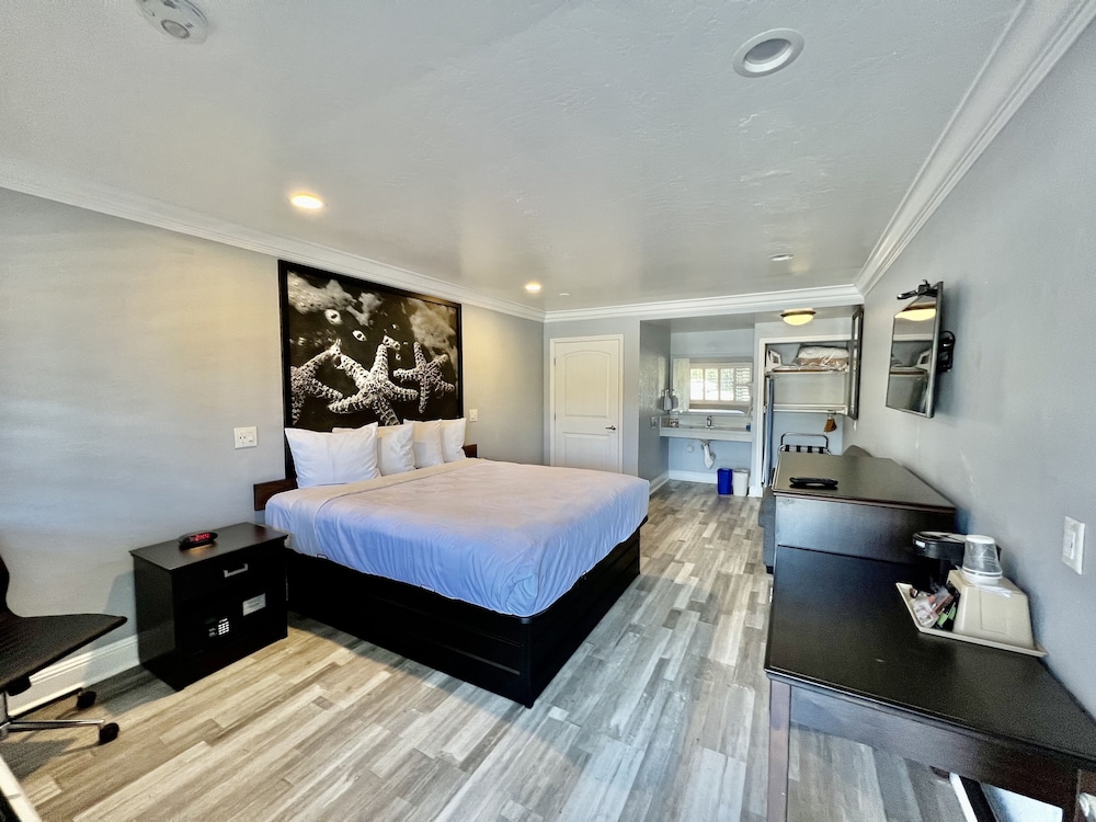 Aura Inn Monterey - photo 57
