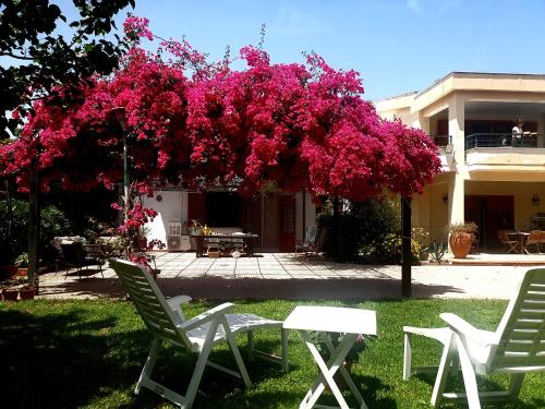 La depandance di Villa Rosa locazioni brevi — 4-Star Luxury Hotel in Palermo, Italy