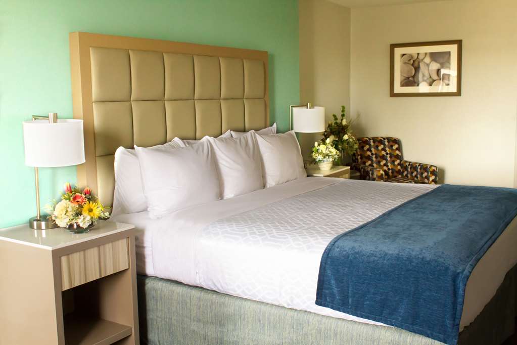 Best Western Toledo South Maumee - photo 17