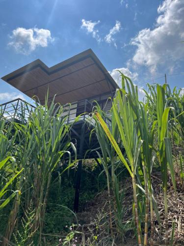 Romantic Glamping for 2 in the Mountain Access with 4×4 or motorbike only in Villeta, Colombia