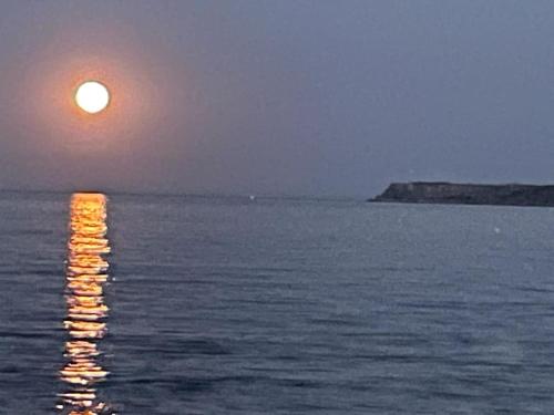 Hot Tub Newly refurbished 4 bed Dog friendly. in Torquay, United Kingdom