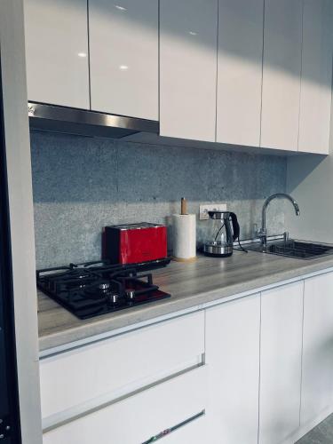 Kazbegi Luxury Apartment