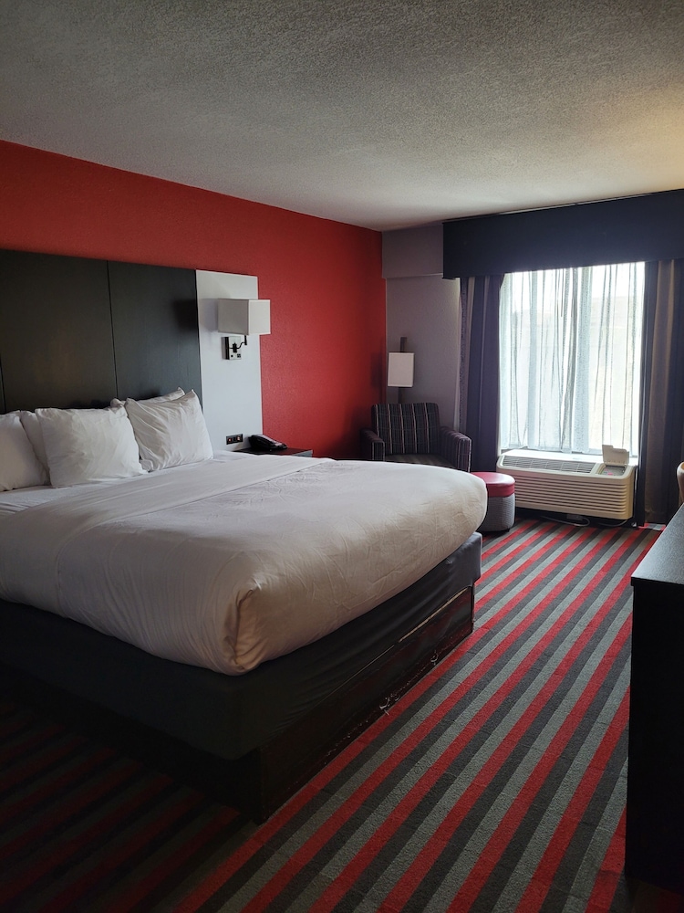 Comfort Inn & Suites Carrollton - photo 9