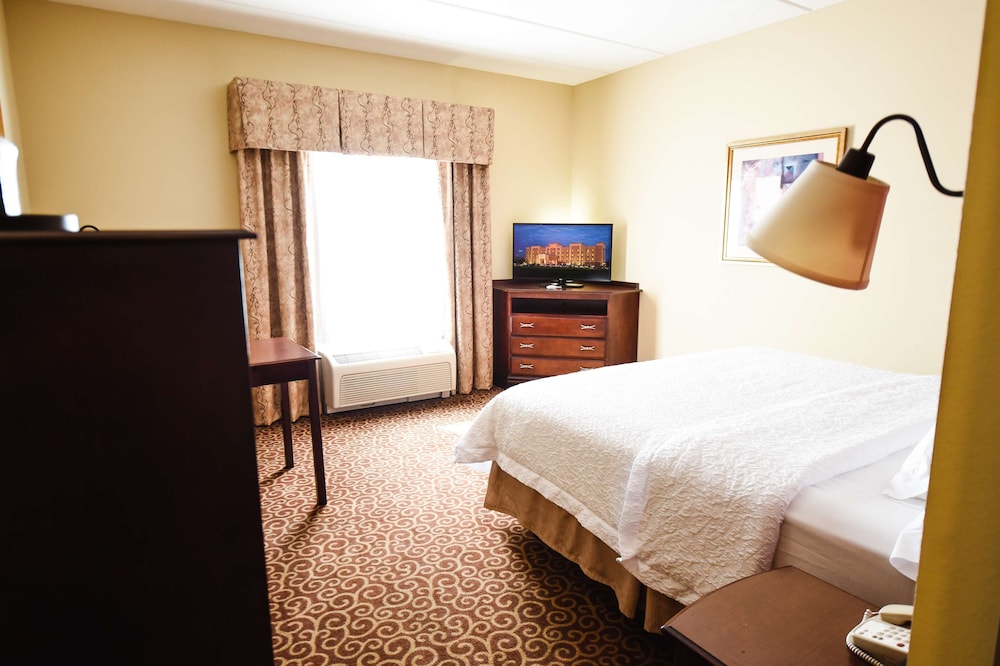 Hampton Inn & Suites Ocala Belleview - photo 9