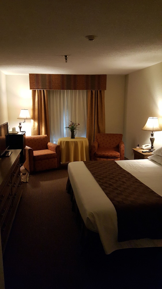 Americourt Hotel - photo 15