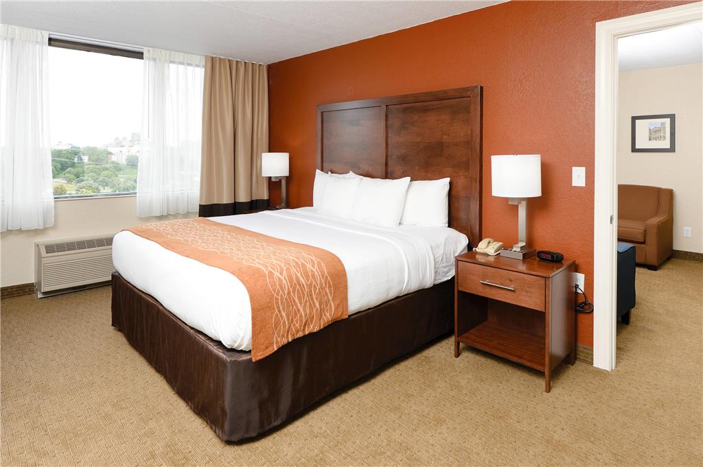 Comfort Inn & Suites Event Center - photo 14