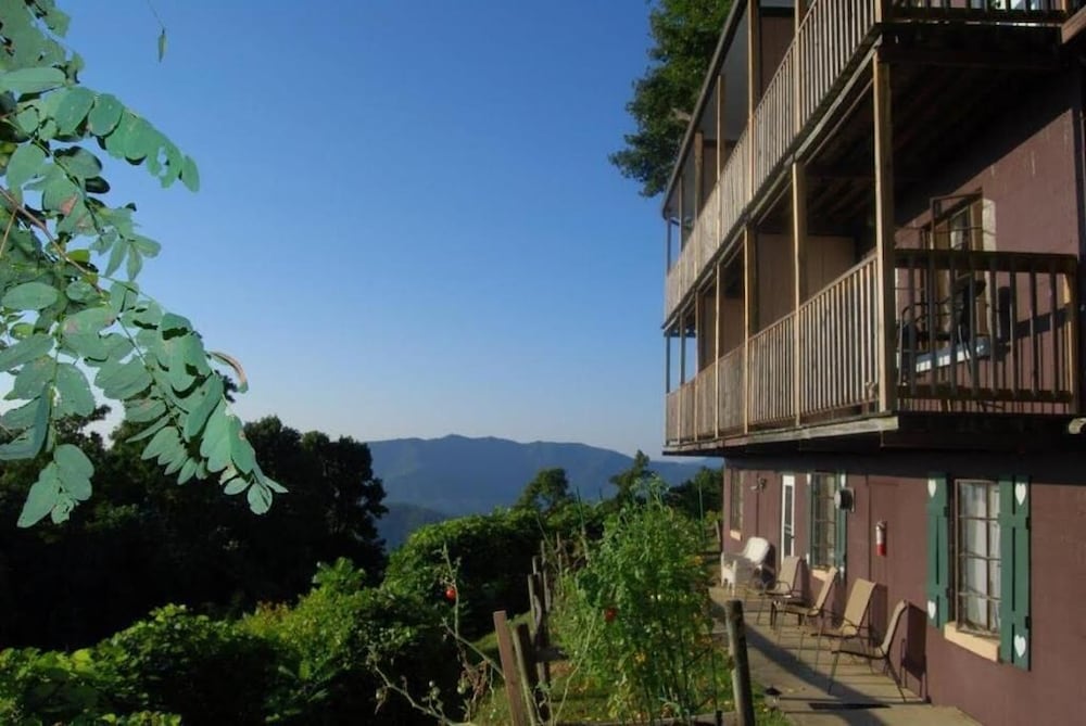 Alpine Inn - photo 30