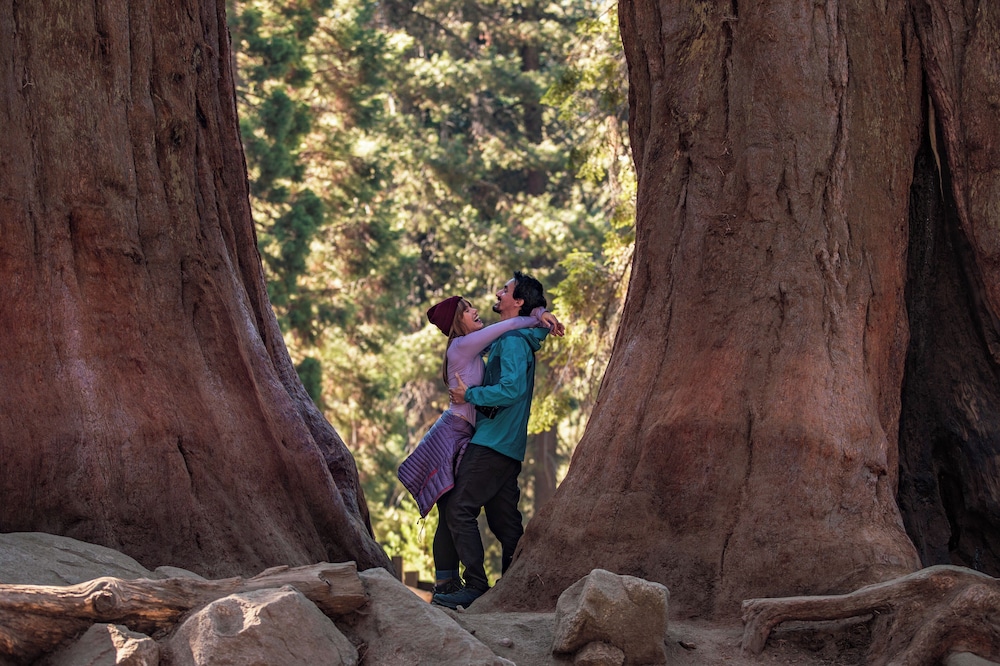 Wuksachi Lodge - photo 26